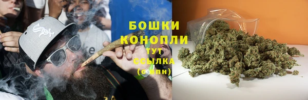 гашик Арсеньев