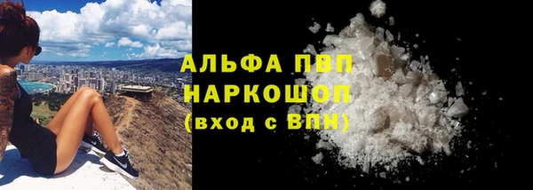 эйфоретик Дмитриев