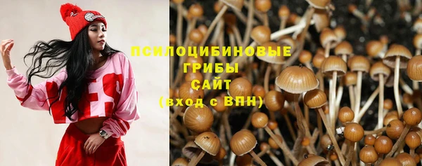 хмурый Балабаново