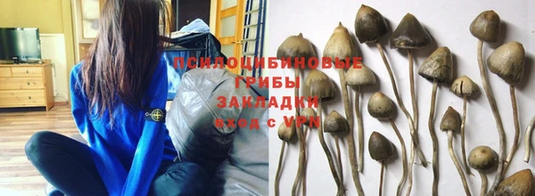хмурый Балабаново