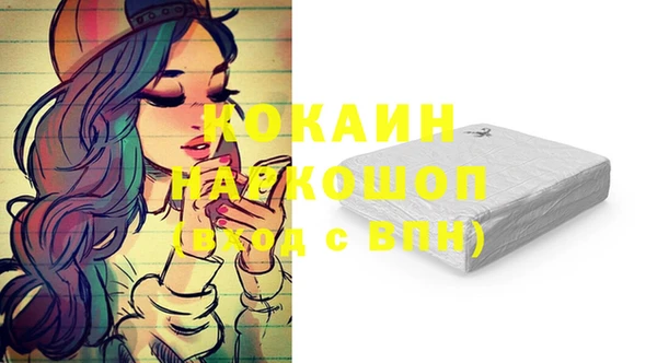 гашик Арсеньев