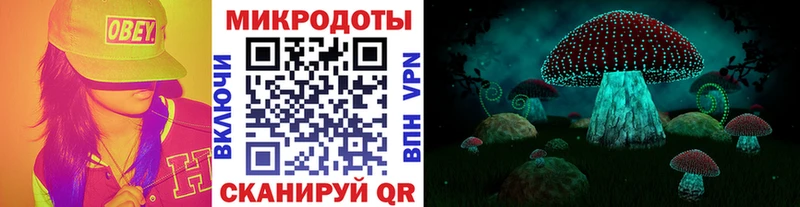 Купить закладки  Сухиничи  Галлюциногенные грибы мицелий 