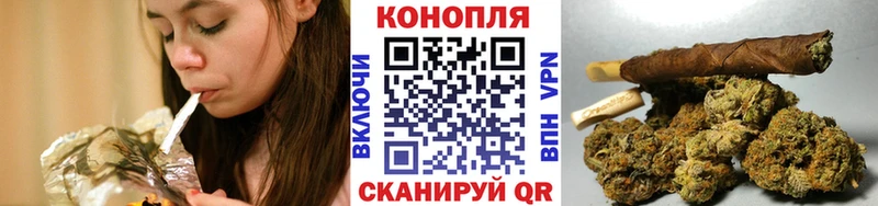 Бошки Шишки Amnesia  Купить закладки  Сухиничи 